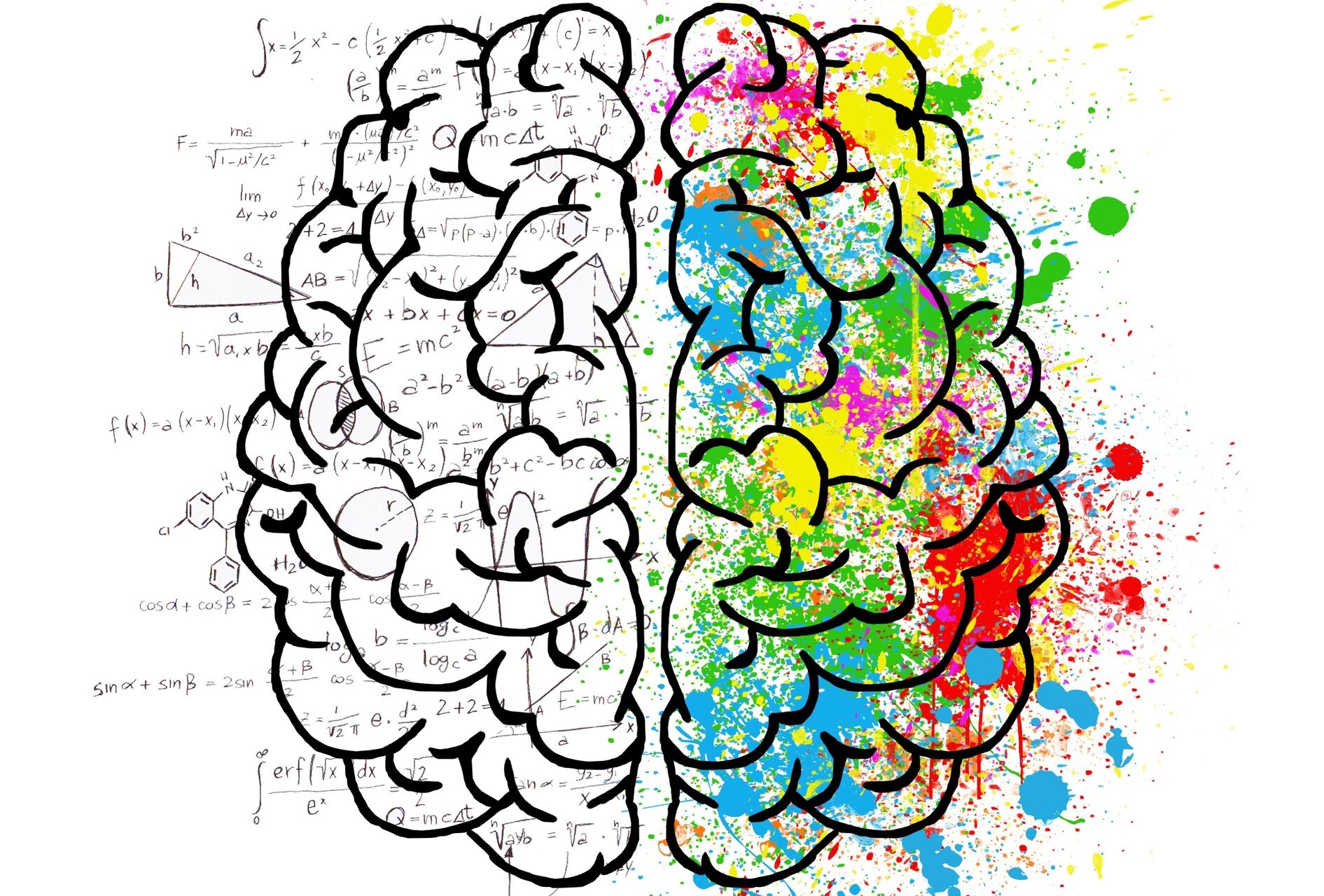 Sciences Cognitives