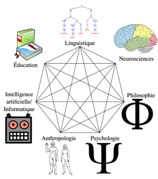 7 ciencias cognitivas